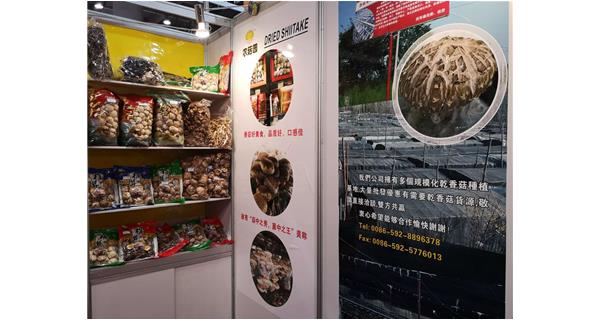 Guangzhou Canton fair exhibition hall