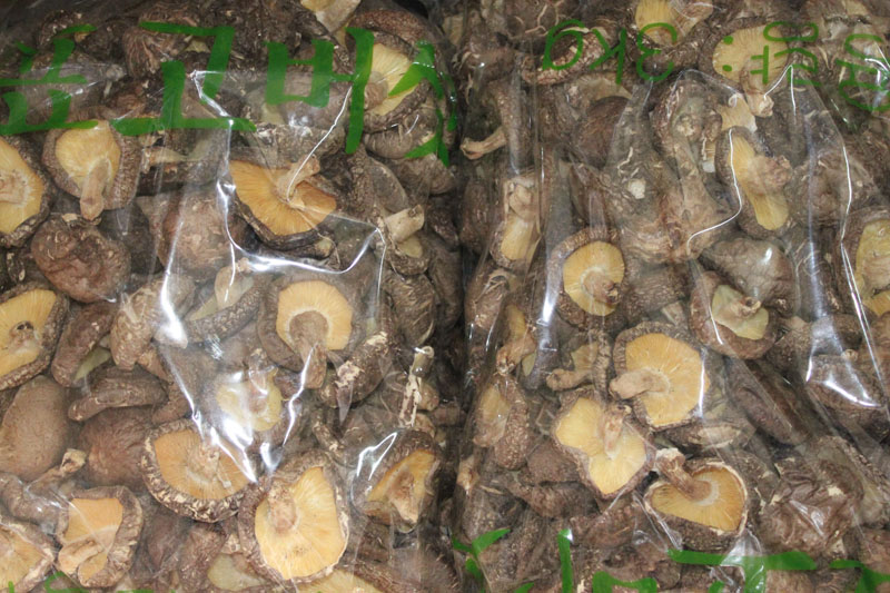 原木香菇4-5cm